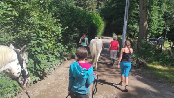 star. Randonnée à pied en présence des chevaux
